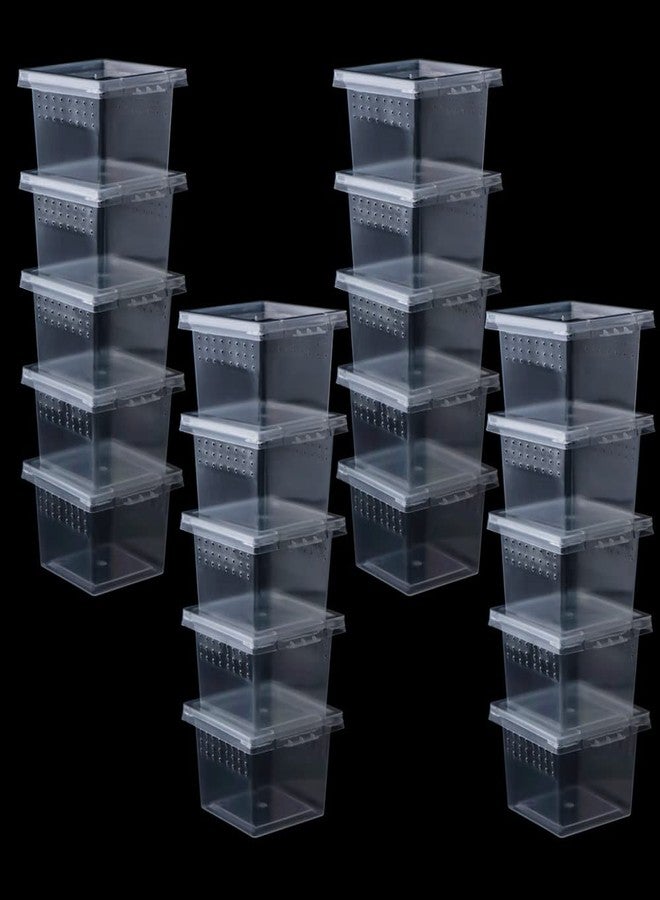 DQITJ 20 Pcs Spider Terrariums Breeding Box Hatching Container Acrylic Feeding Box for Small Reptile Scorpion Centipede Insect (Small Size) - Image 1
